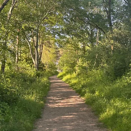 Haus Haddorfer Hus Vi D Sjön Ferienhaus *